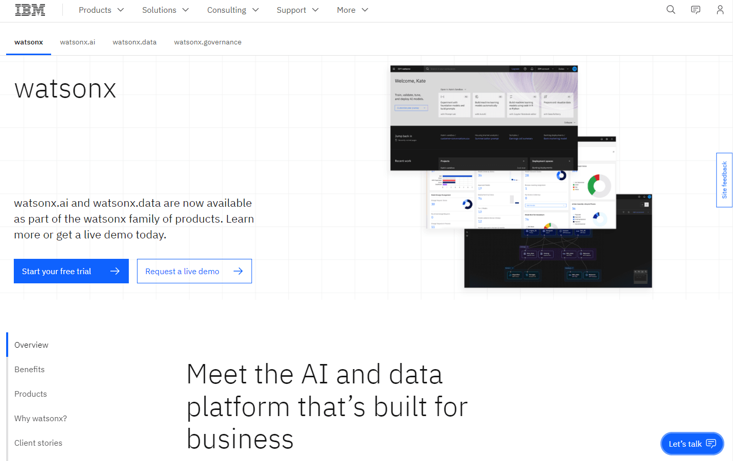 IBM Watsonx